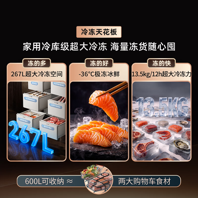 海信TR-600E7SCZKD冰箱图片