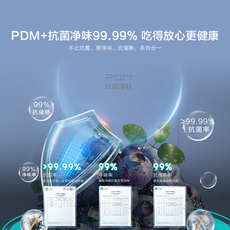 海信BCD-273S2RNKQD冰箱图片
