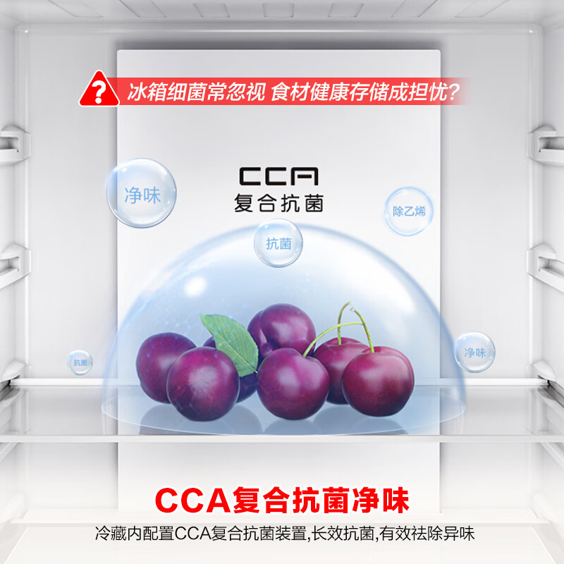 容声BCD-261D20RNLBD冰箱图片