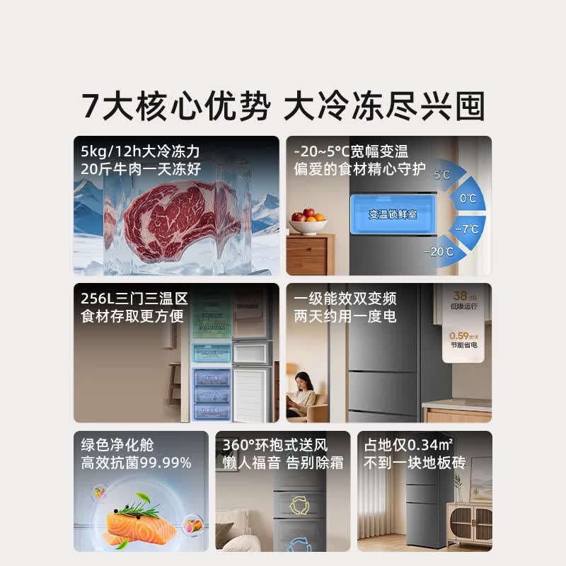 海信BCD-256E3SRNKD冰箱图片
