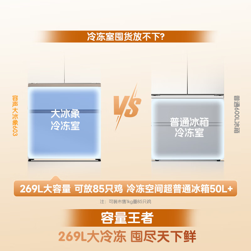 容声BCD-603Q50FZLBJ冰箱图片