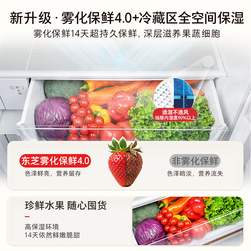 东芝GR-RF528WI-PM1冰箱图片