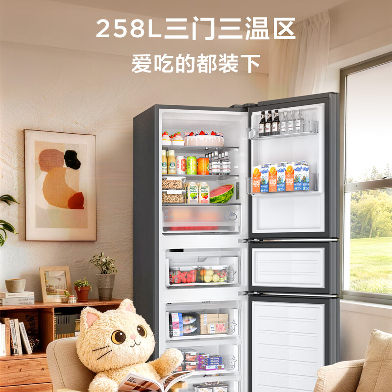 TCL-R258V5-C冰箱图片