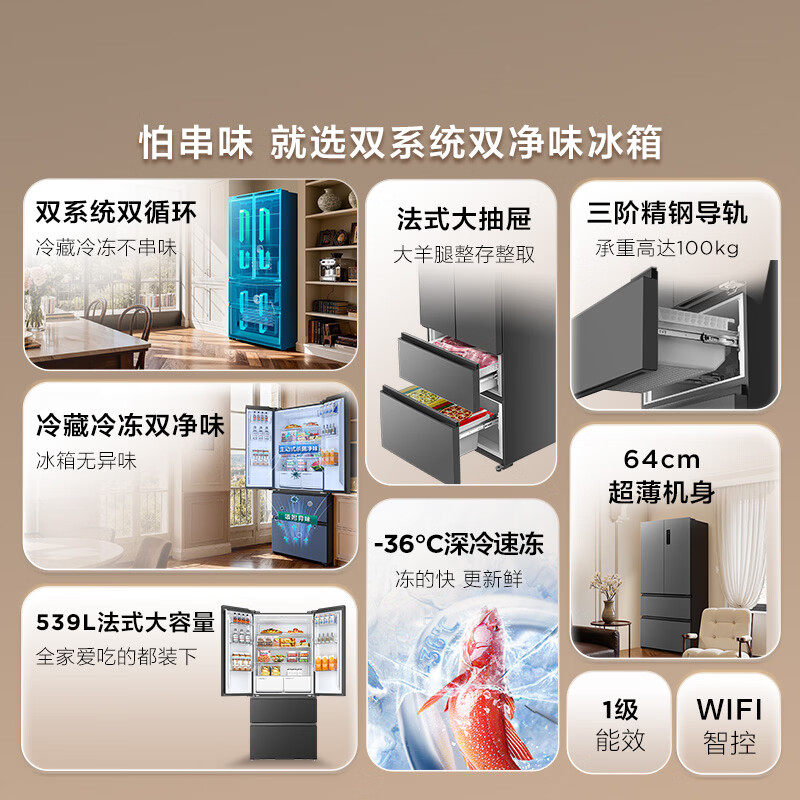 TCL-R539V7-DS冰箱图片