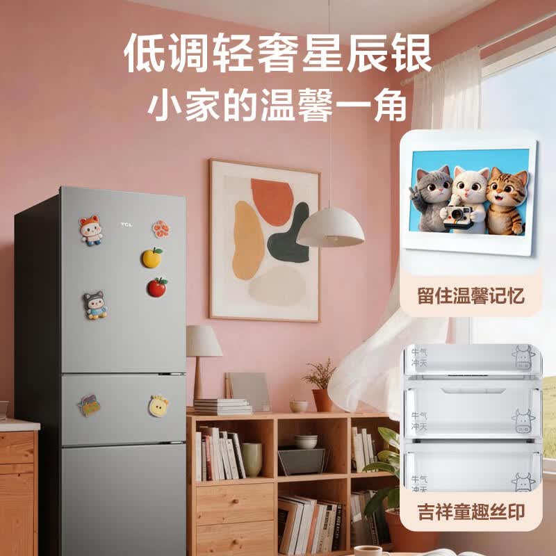 TCL-R258V5-C冰箱图片