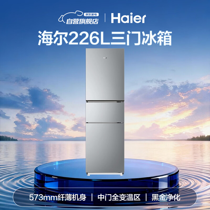 海尔BCD-226WGHC3E9XM冰箱图片
