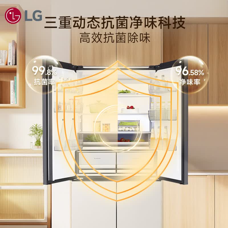 LG-F512GDMBAM冰箱图片