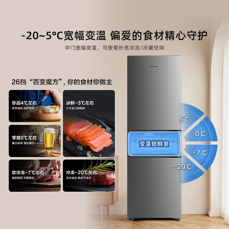 海信BCD-256E3SRNKD冰箱图片