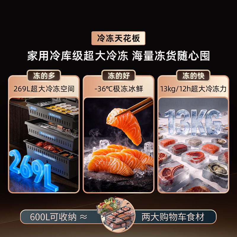 海信TR-600E7SFZSD冰箱图片