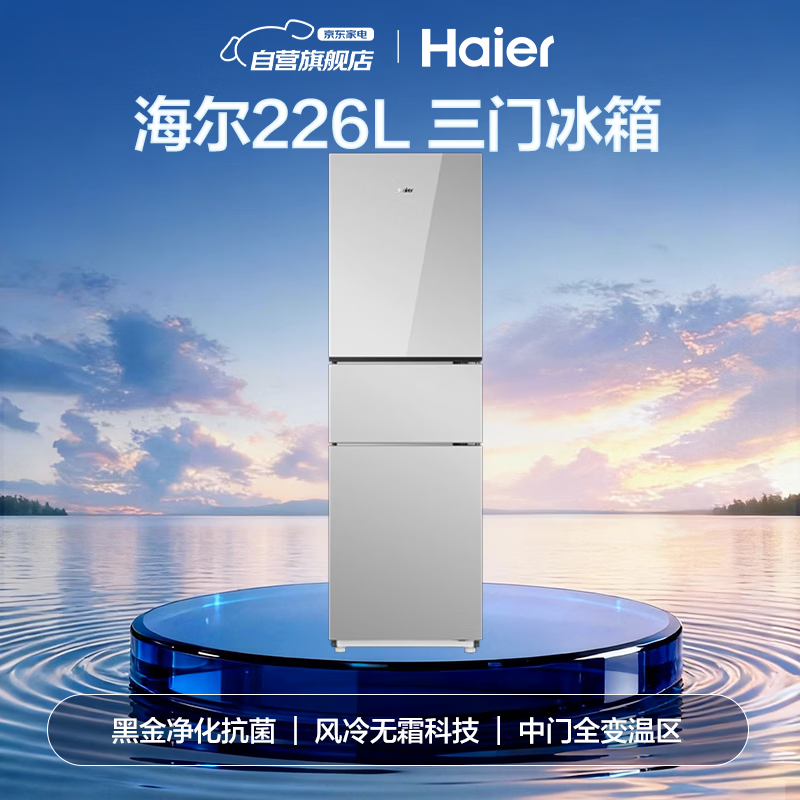 海尔BCD-226WGHC3E9SW冰箱图片