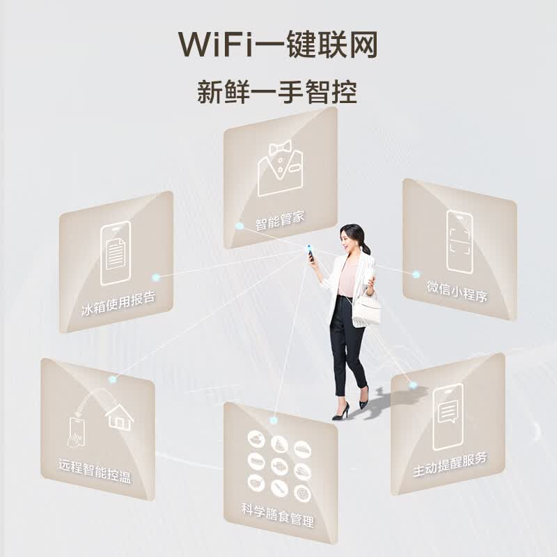 海尔BCD-500WGHFDEDWVU1冰箱图片
