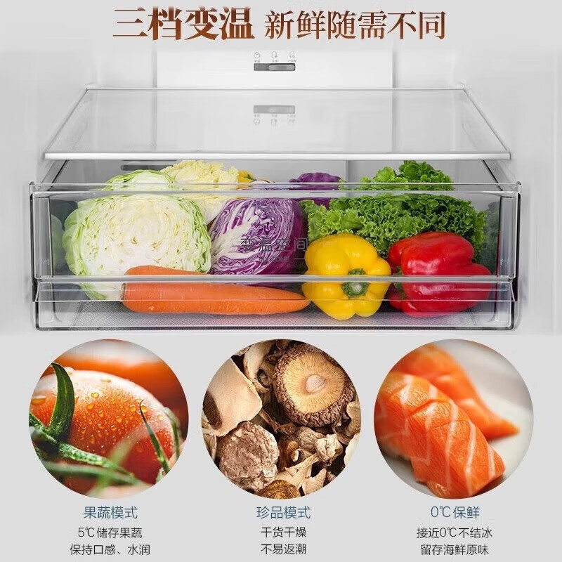 海尔BCD-309WMCO冰箱图片