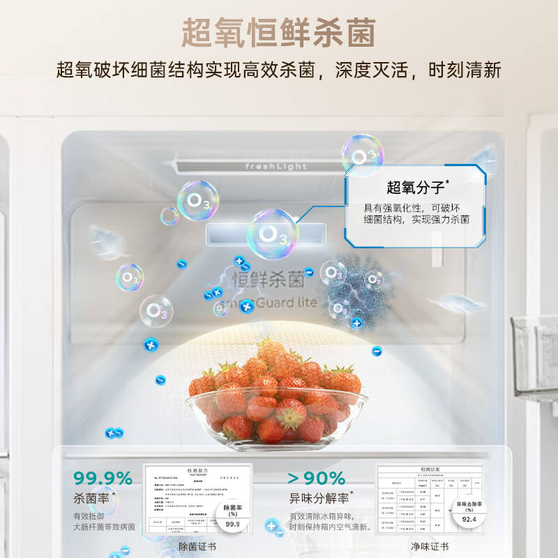 西门子KA98CEA63C冰箱图片