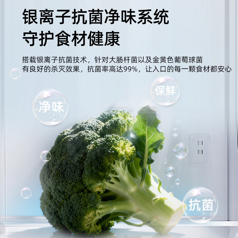 上菱BSE445PWL冰箱图片