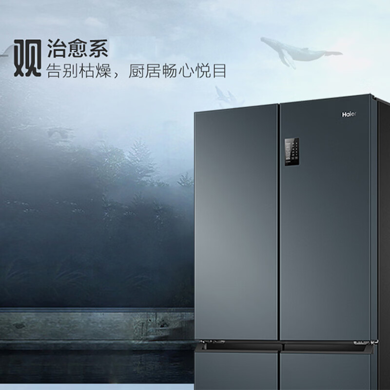 海尔BCD-466WGHTDEDC9冰箱图片