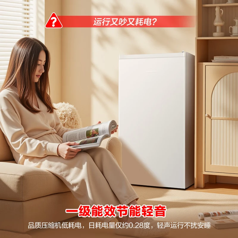 容声BC-95D12冰箱图片