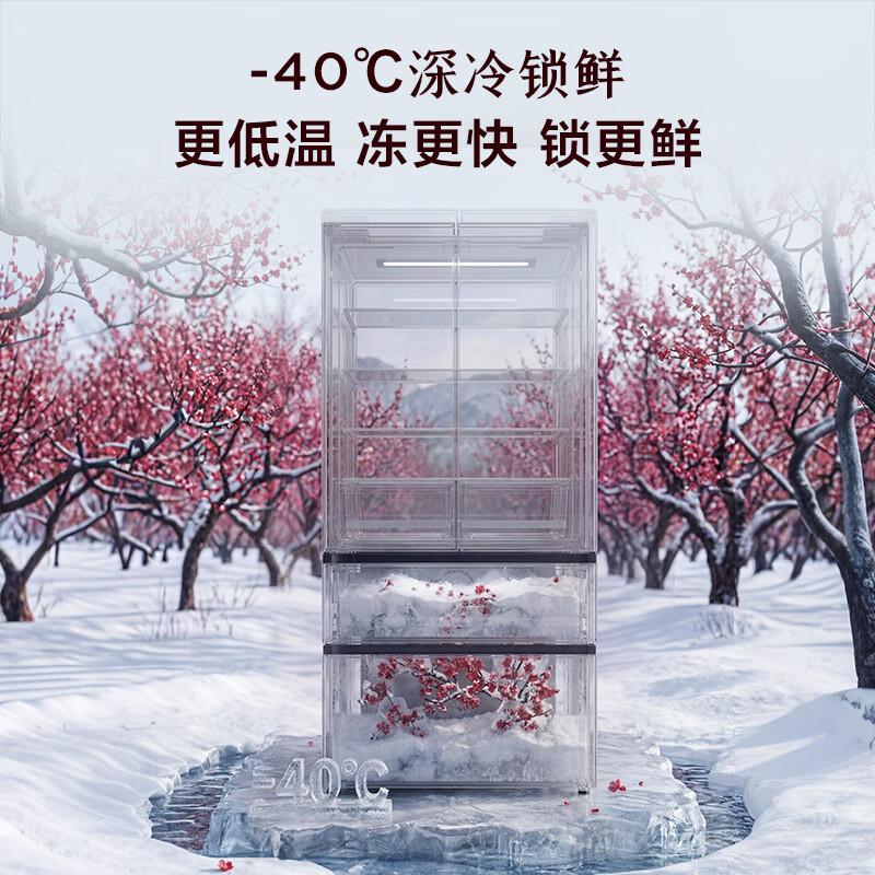 TCL-R508T9N-DQS冰箱图片