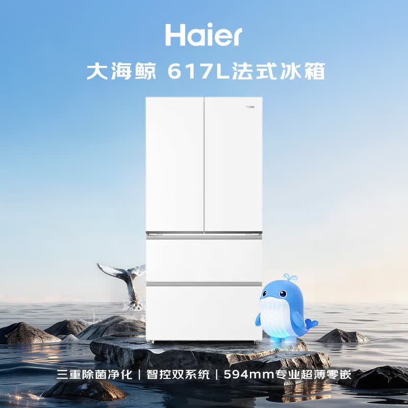 海尔BCD-617WGHFDB9VBU1冰箱图片