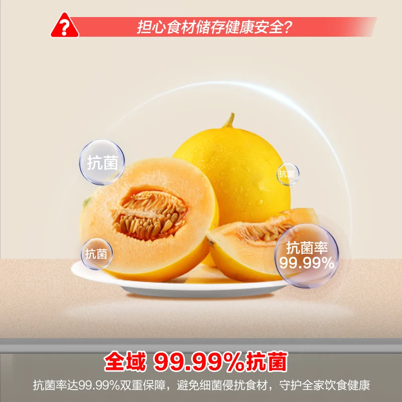 容声BC-95D12冰箱图片
