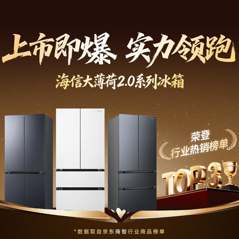 海信BCD-509E5SFZSD冰箱图片