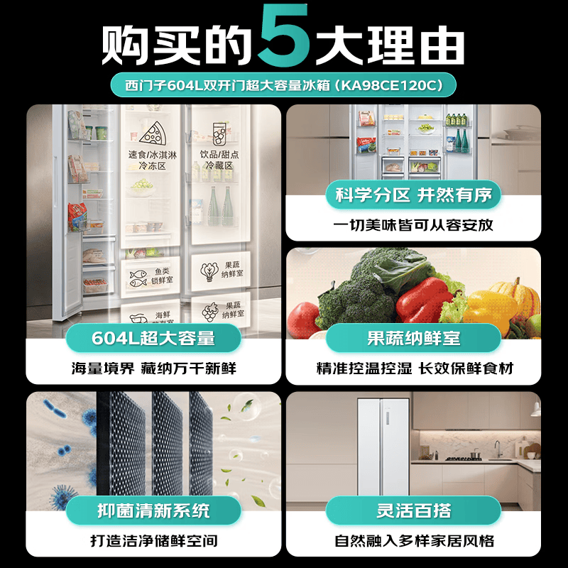 西门子KA98CE120C冰箱图片