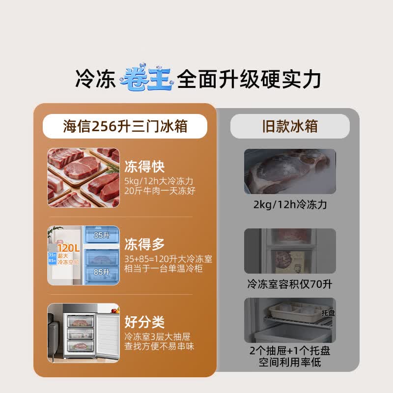 海信BCD-256E3SRNKD冰箱图片