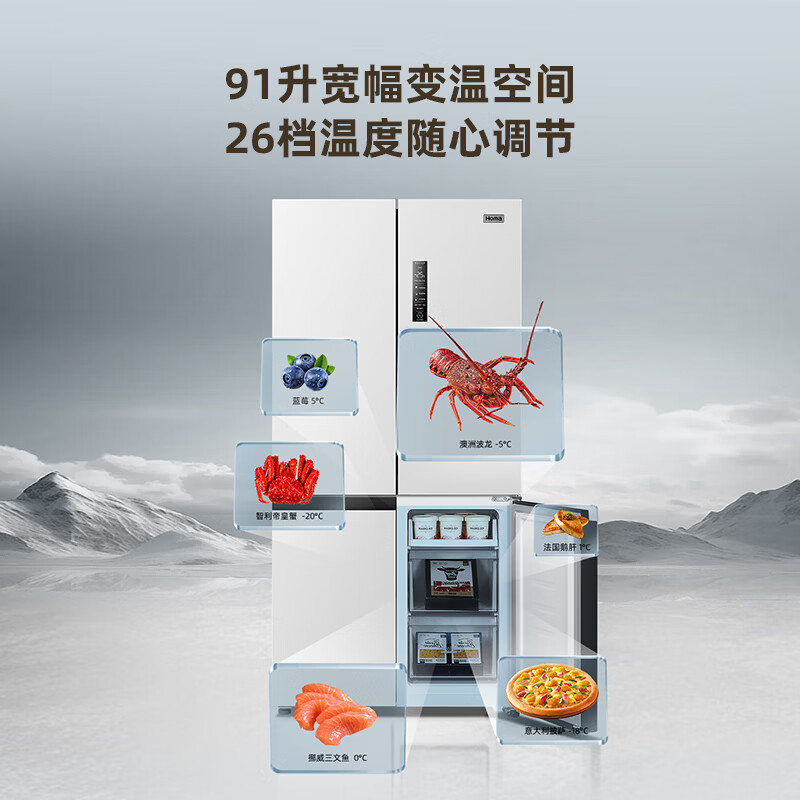 奥马605WDH/B冰箱图片