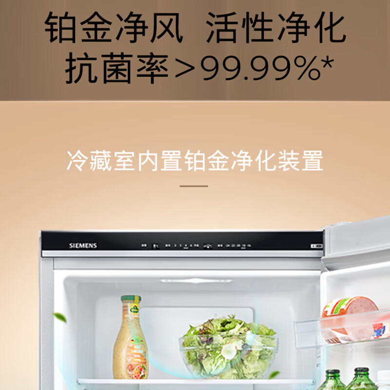 西门子KG33NV161C冰箱图片