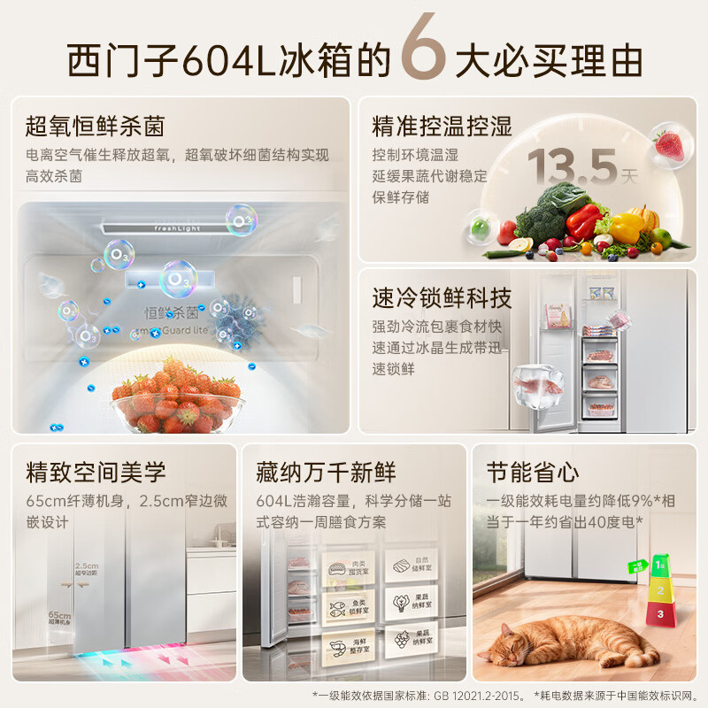 西门子KA98CEA63C冰箱图片