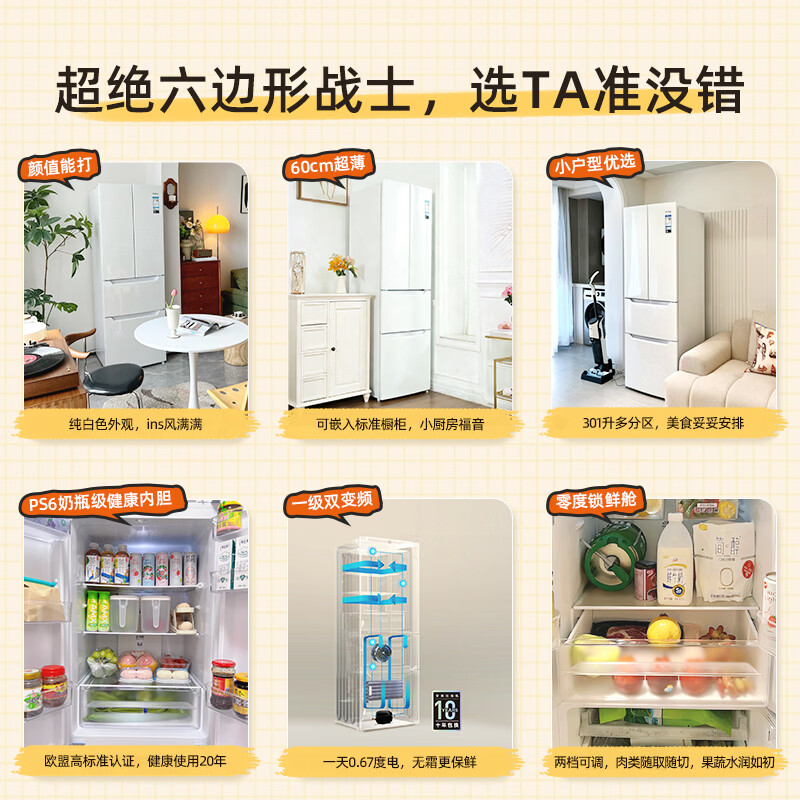 奥马301WF/B冰箱图片