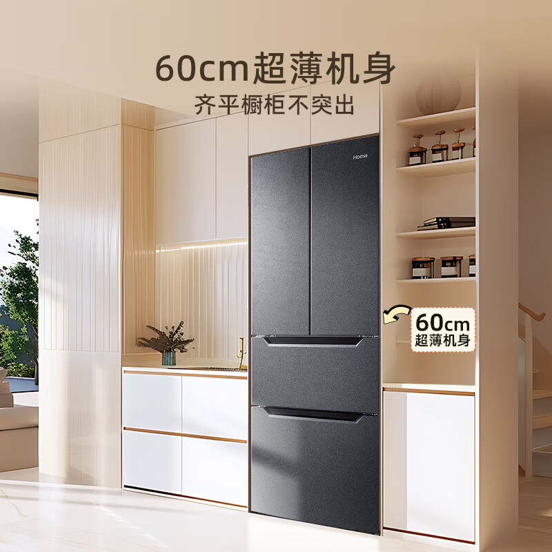 奥马300WF/B冰箱图片
