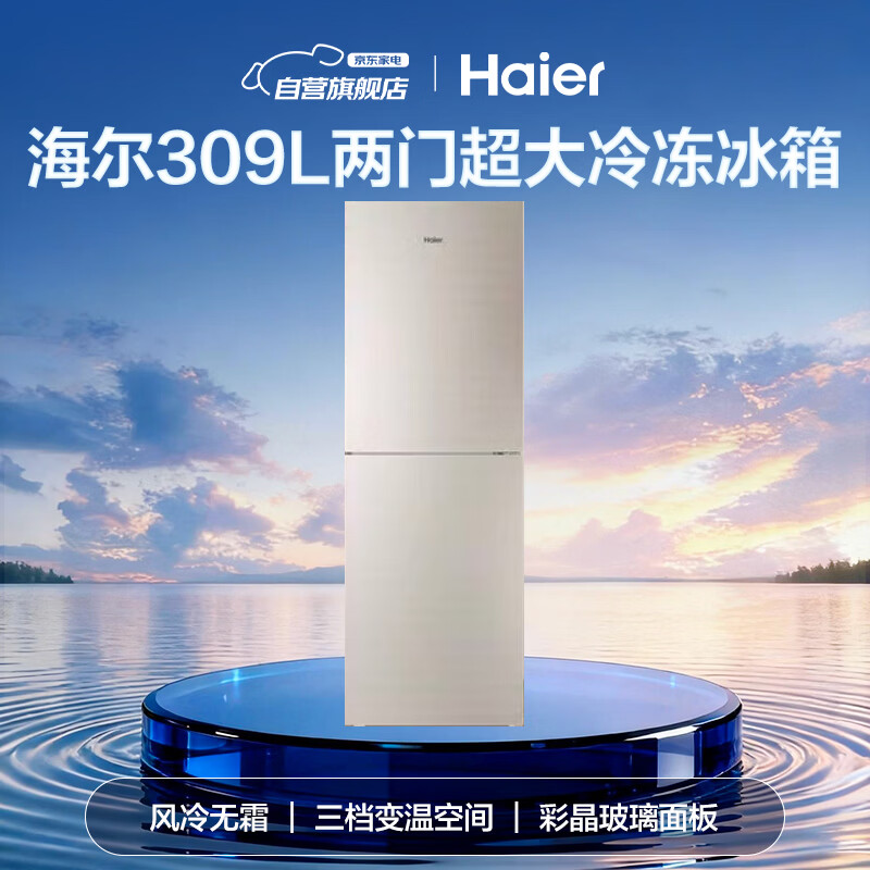 海尔BCD-309WMCO冰箱图片
