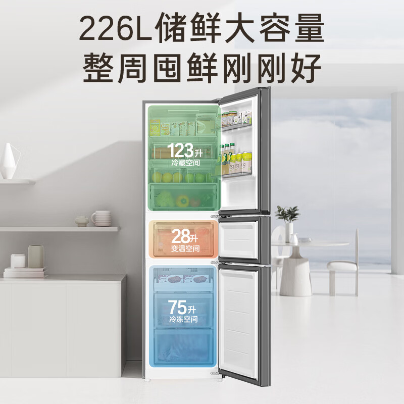 海尔BCD-226WGHC3E9SW冰箱图片