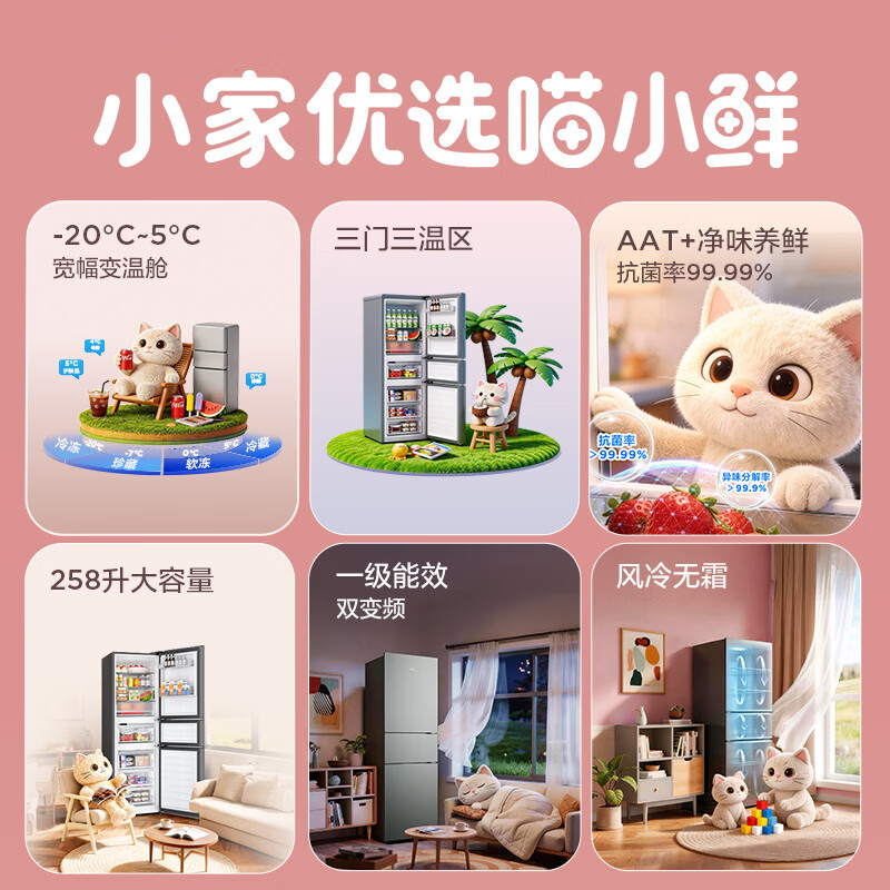 TCL-R258V5-C冰箱图片