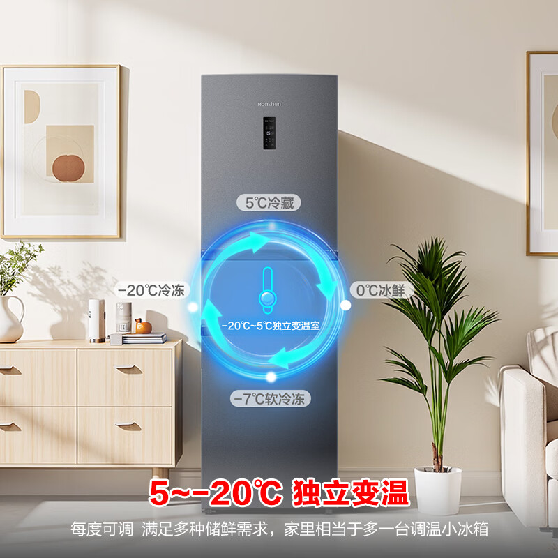 容声BCD-261D20RNLBD冰箱图片