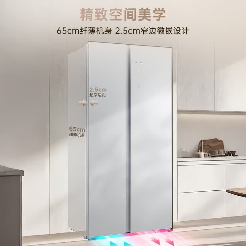 西门子KA98CEA63C冰箱图片