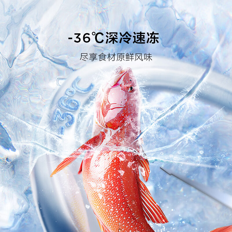 TCL-R539V7-DS冰箱图片
