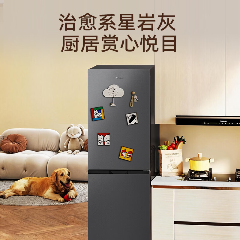 奥马249WH/B冰箱图片