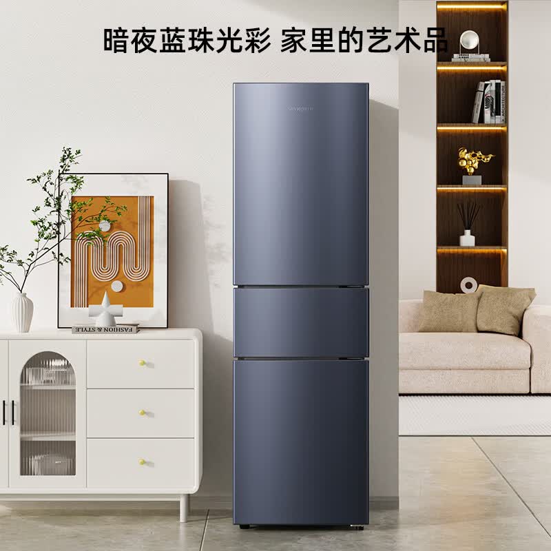 创维BCD-220TJ冰箱图片