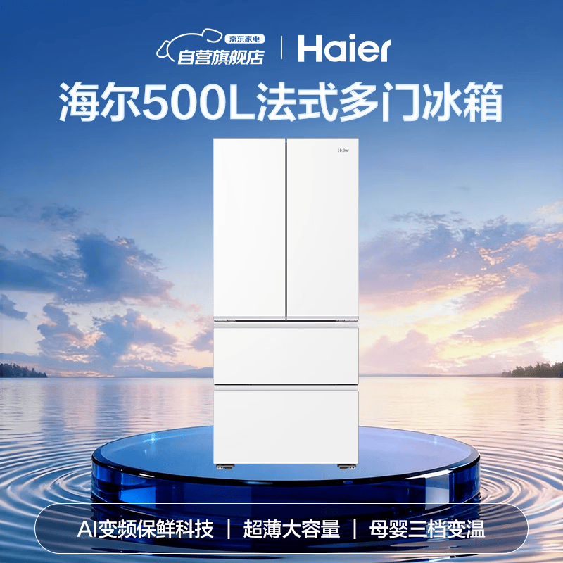 海尔BCD-500WGHFDEDWVU1冰箱图片