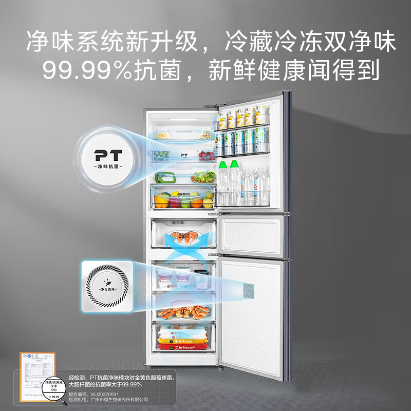 华凌HR-282WTP冰箱图片