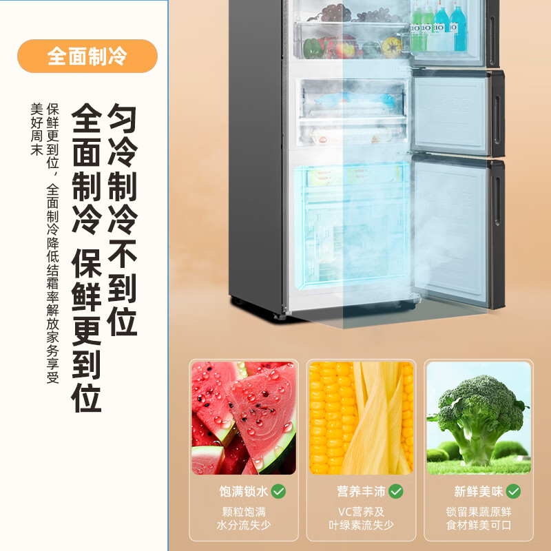 新飞BCD-221WK3DT冰箱图片