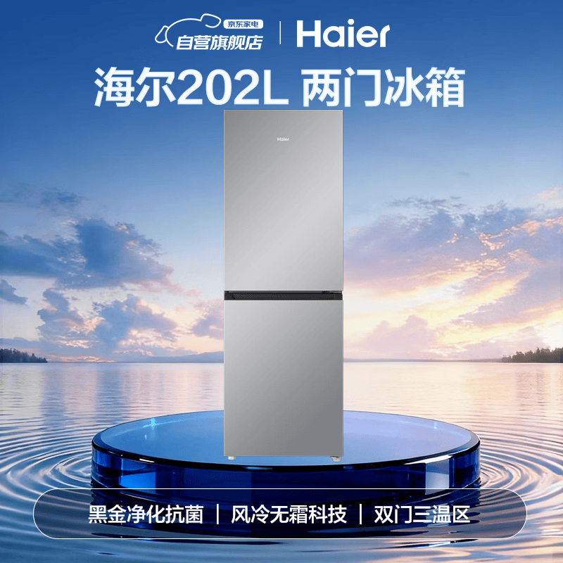 海尔BCD-202WGHC290S9冰箱图片