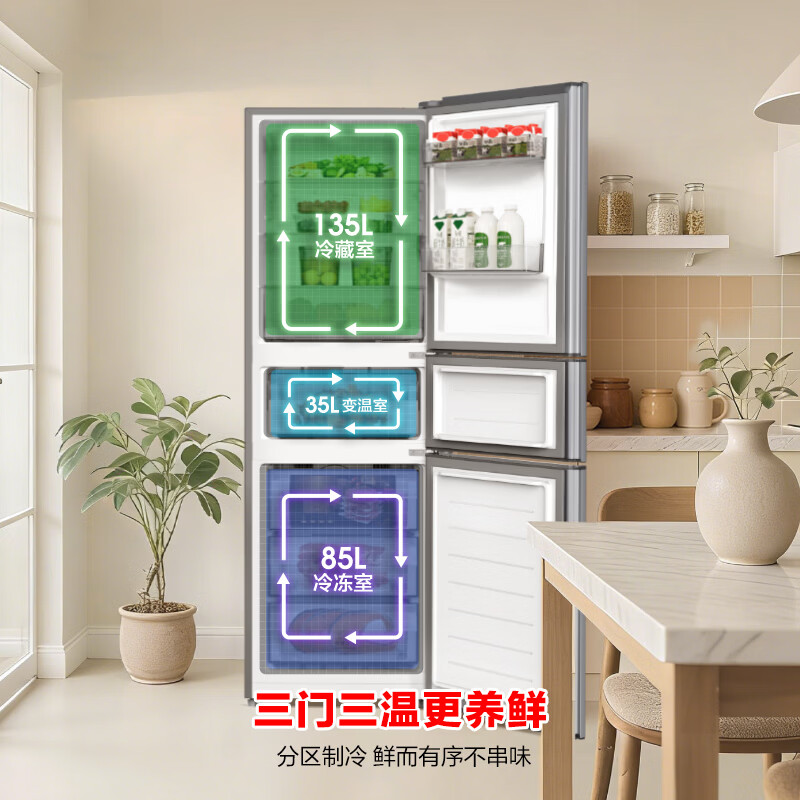 容声BCD-255D20RNLBD冰箱图片
