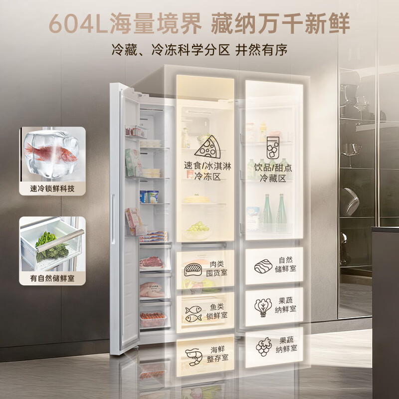 西门子KA98CEA63C冰箱图片