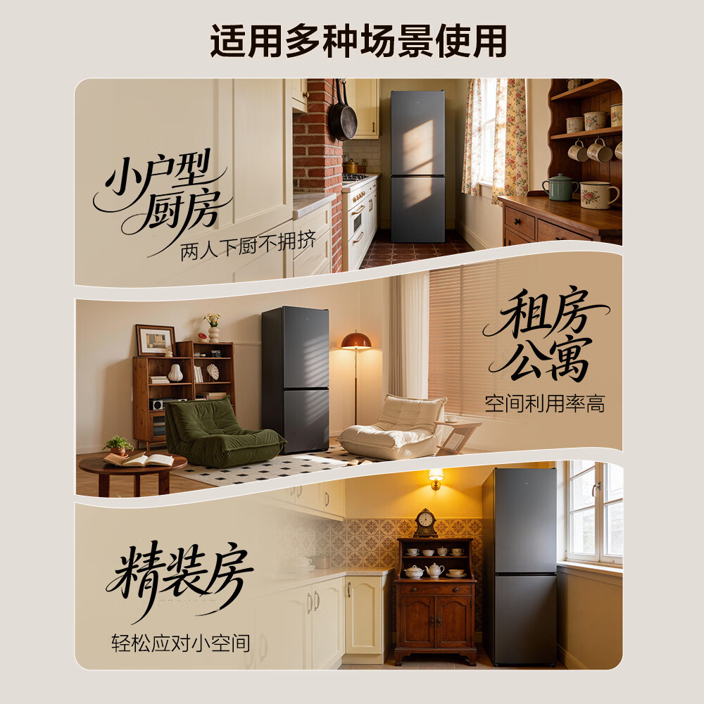 TCL-R311V5-B冰箱图片