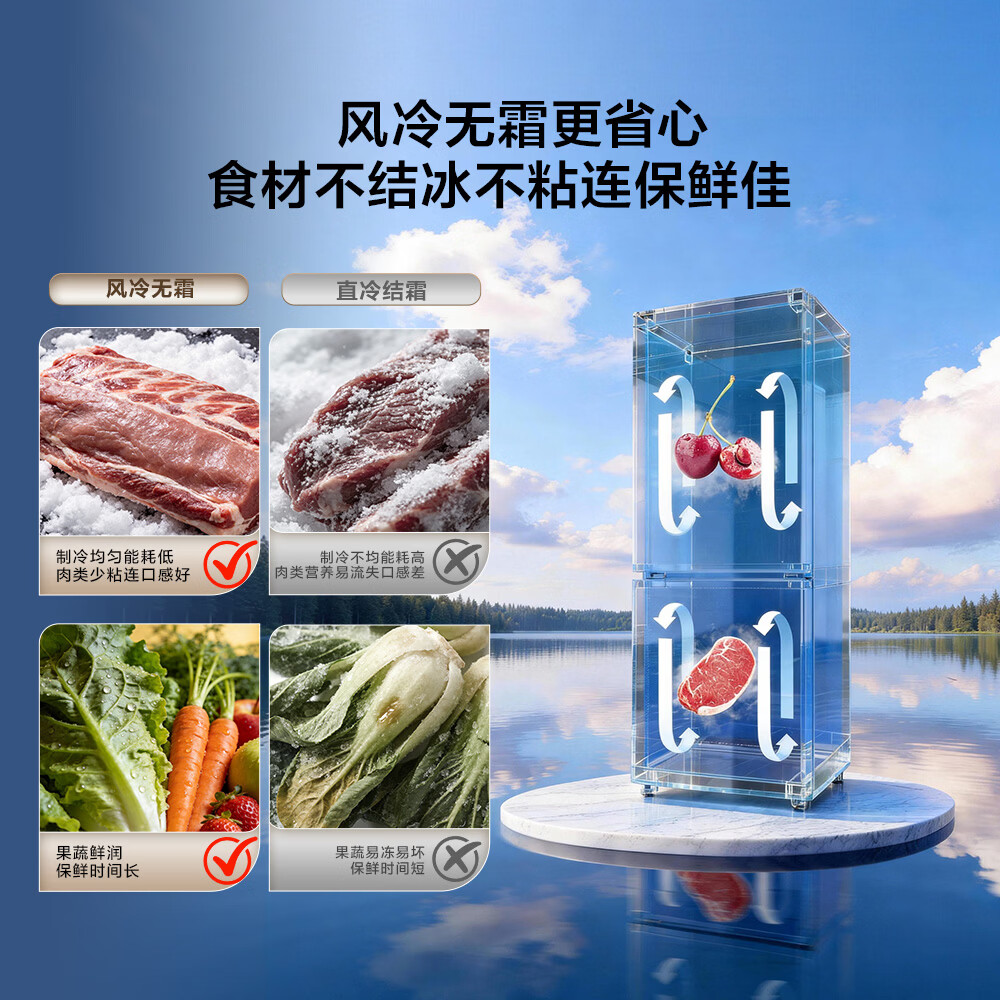 TCL-R311V5-B冰箱图片