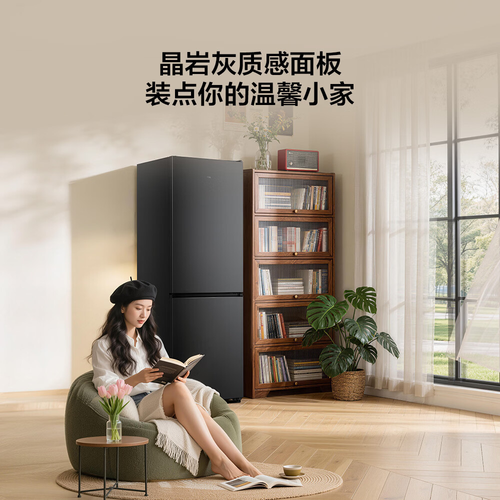 TCL-R311V5-B冰箱图片