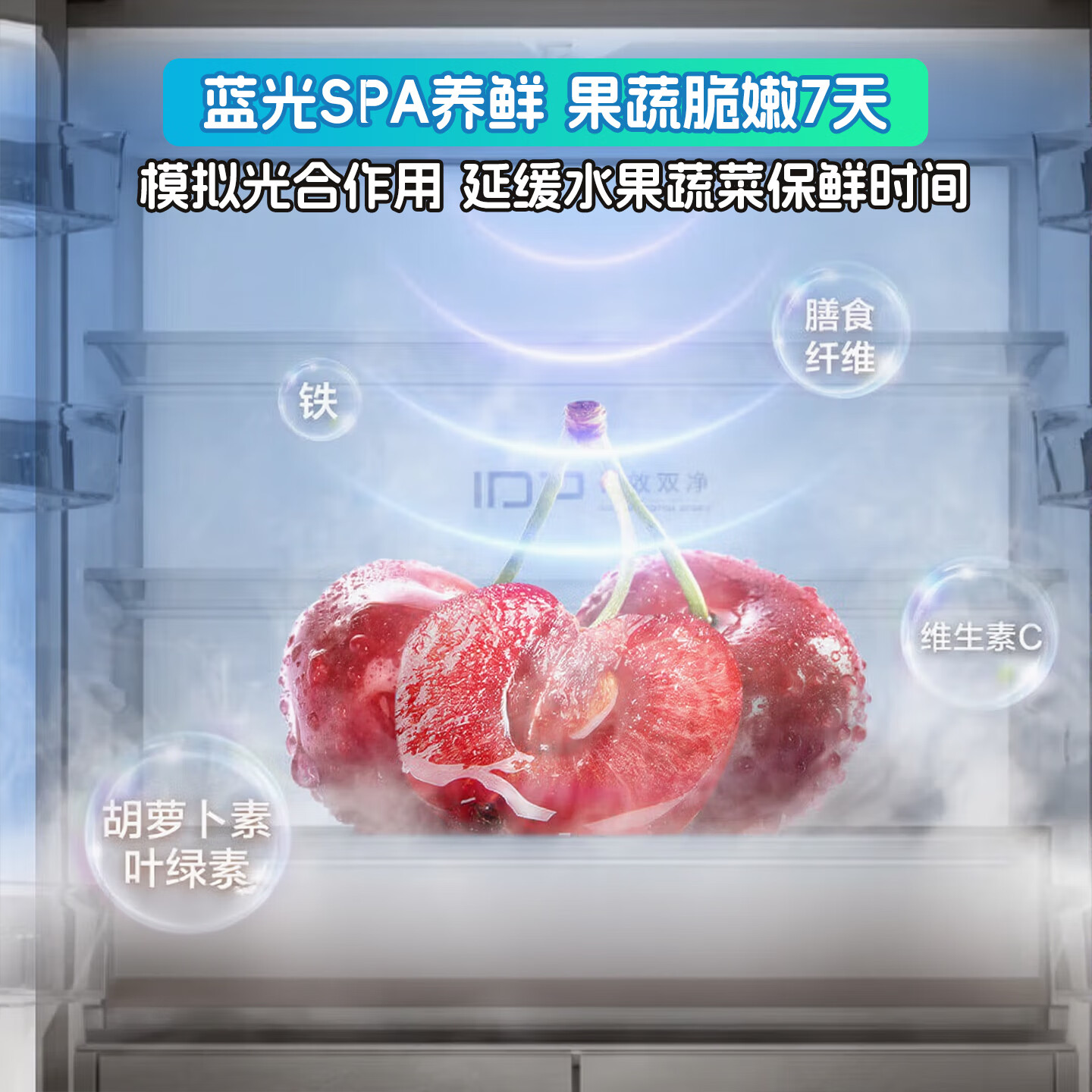 容声BCD-516P60FZMAE冰箱图片