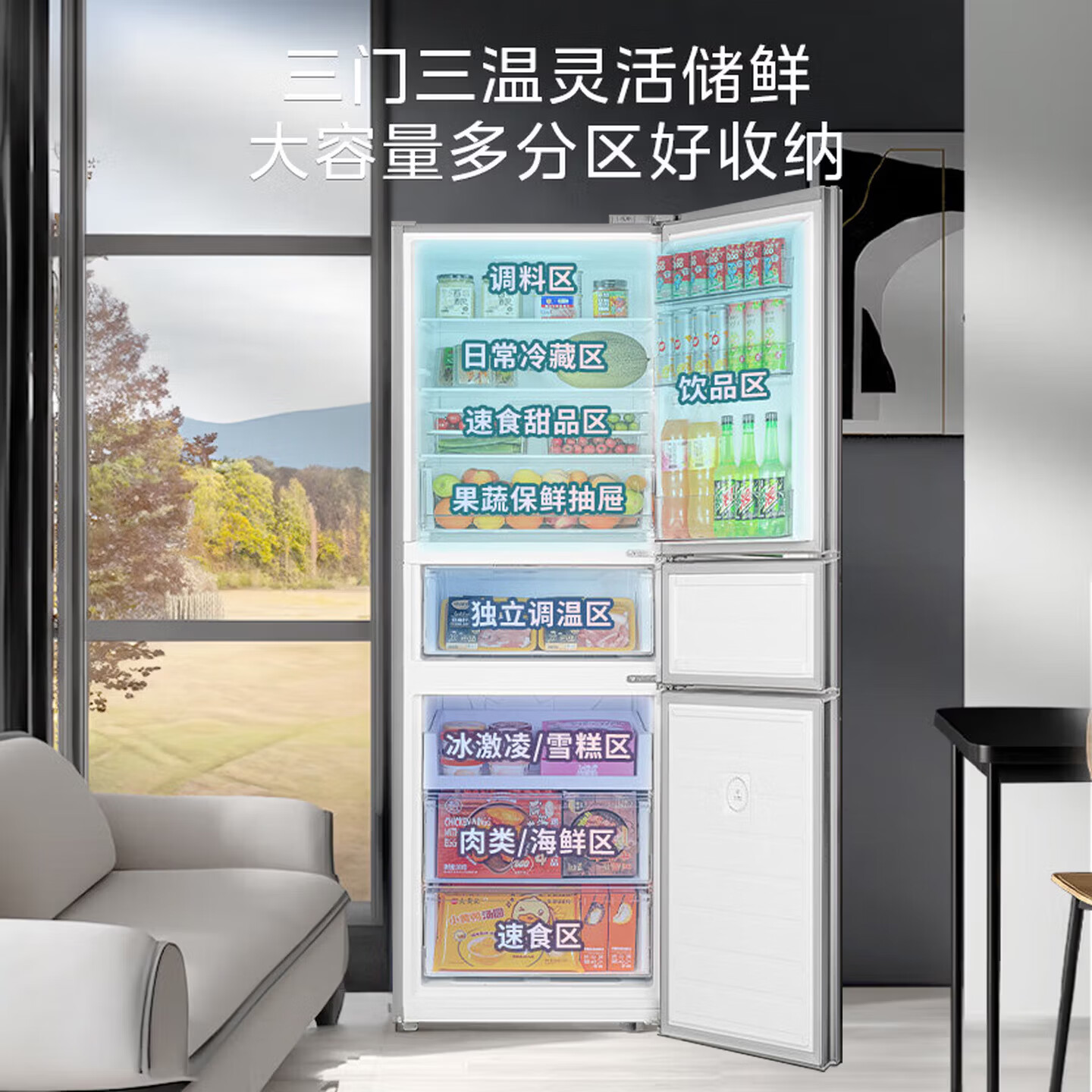 华凌HR-282WTP冰箱图片